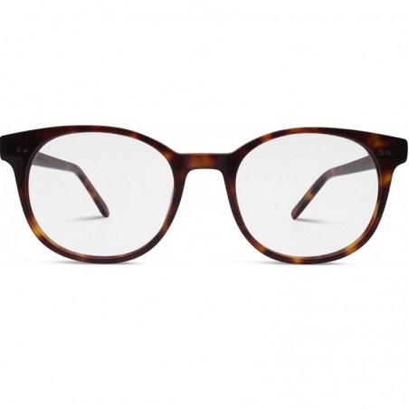 adela_ecaille_marron