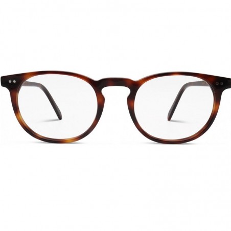 gaspard_ecaille_marron